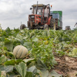 tracteur domaine de la roche melon