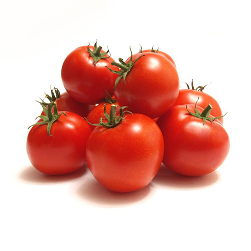 Tomates Loudun Chalais vienne